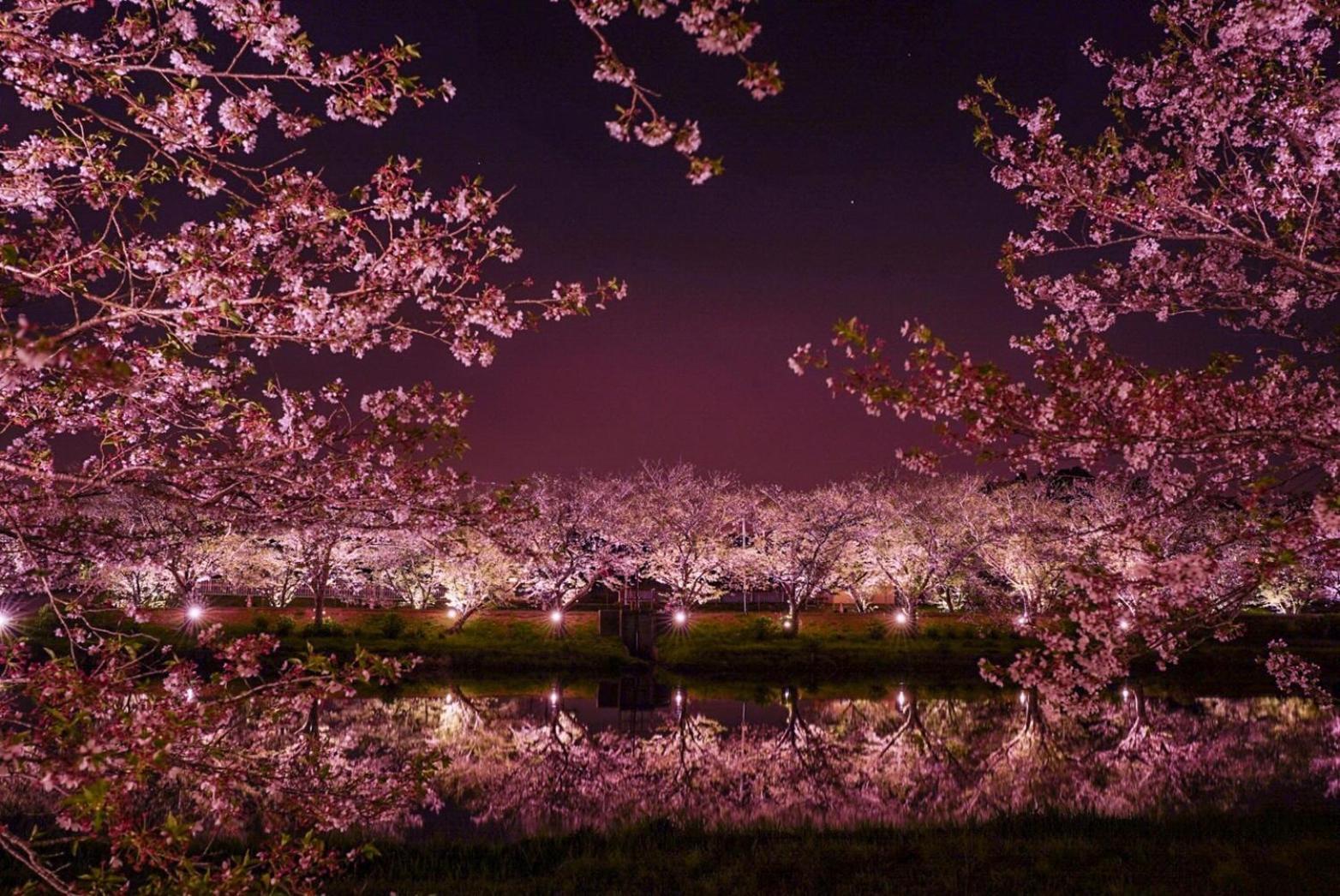 Masugataya Ryokan Tako Exteriör bild