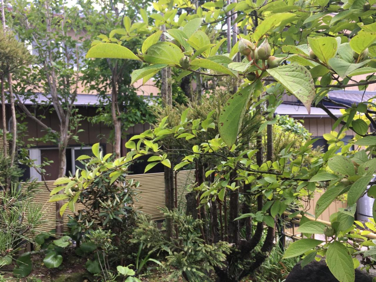 Masugataya Ryokan Tako Exteriör bild